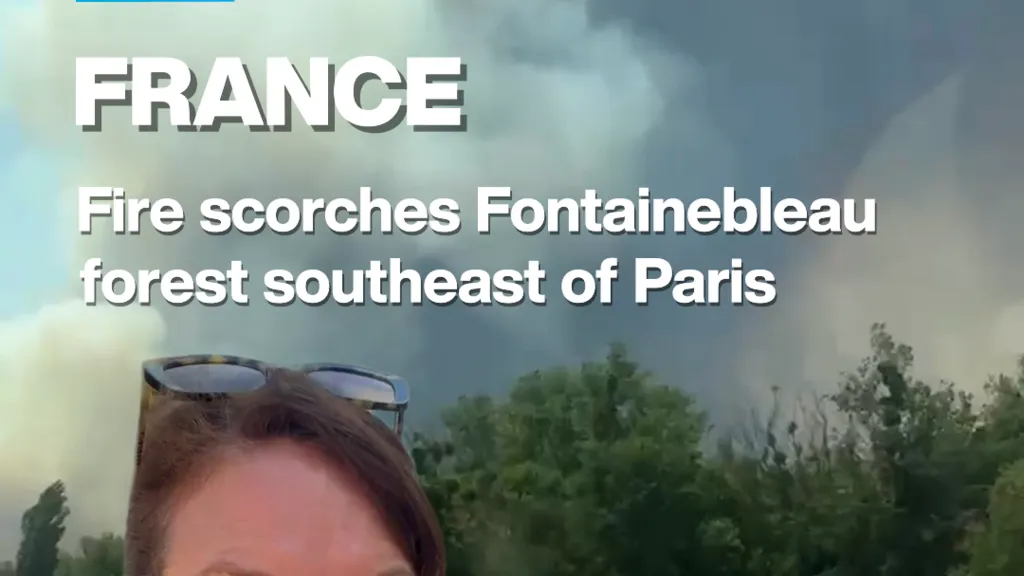 Fontainebleau wildfire burns 1,000 hectares southeast of Paris, authorities say
