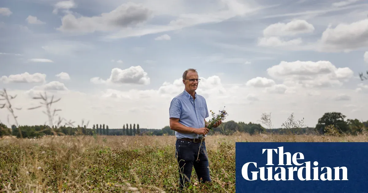 UK growers lose to drought, sending wholesale tomatoes up 60% and iceberg lettuce 90%