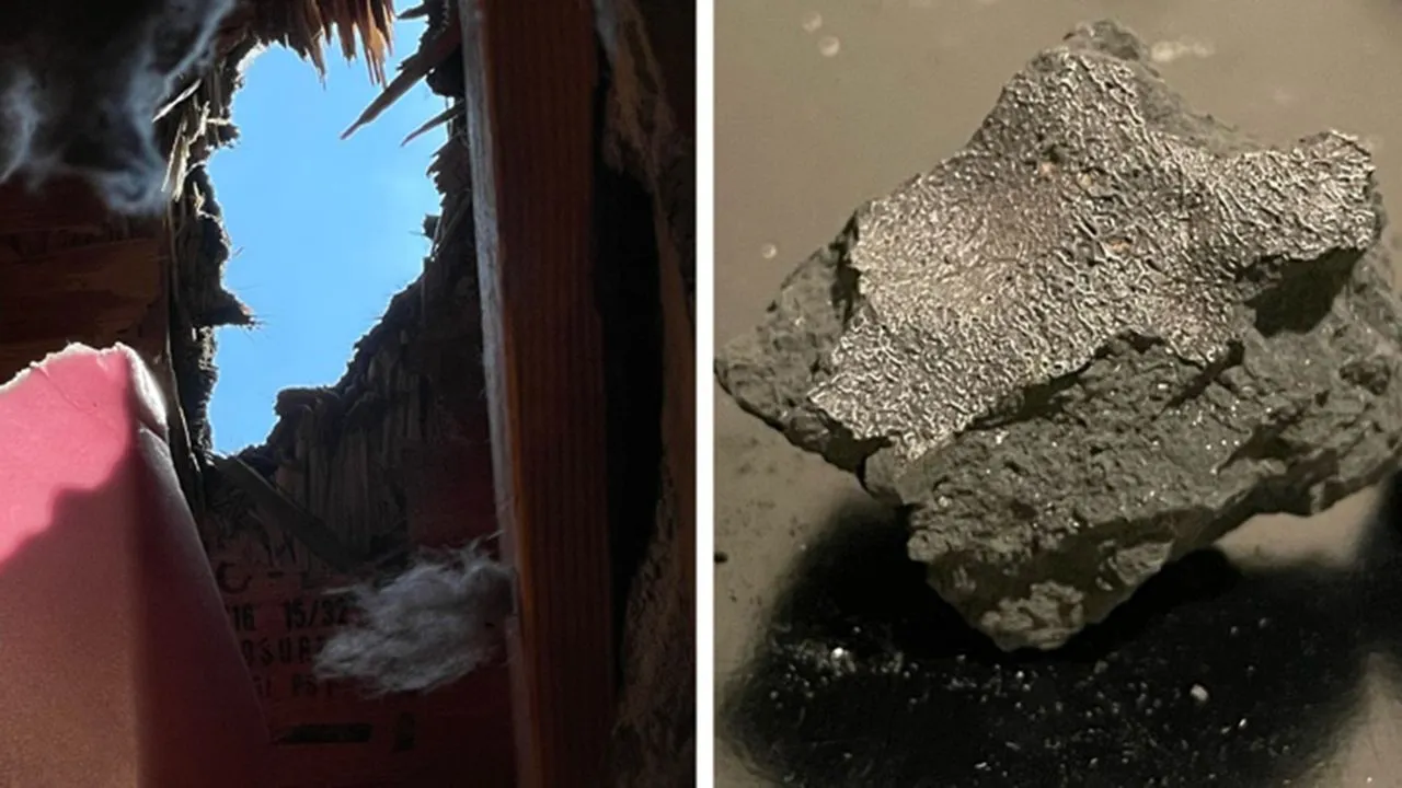 "Fireball" meteorite from Hillsborough contained life ingredients, study says July 15