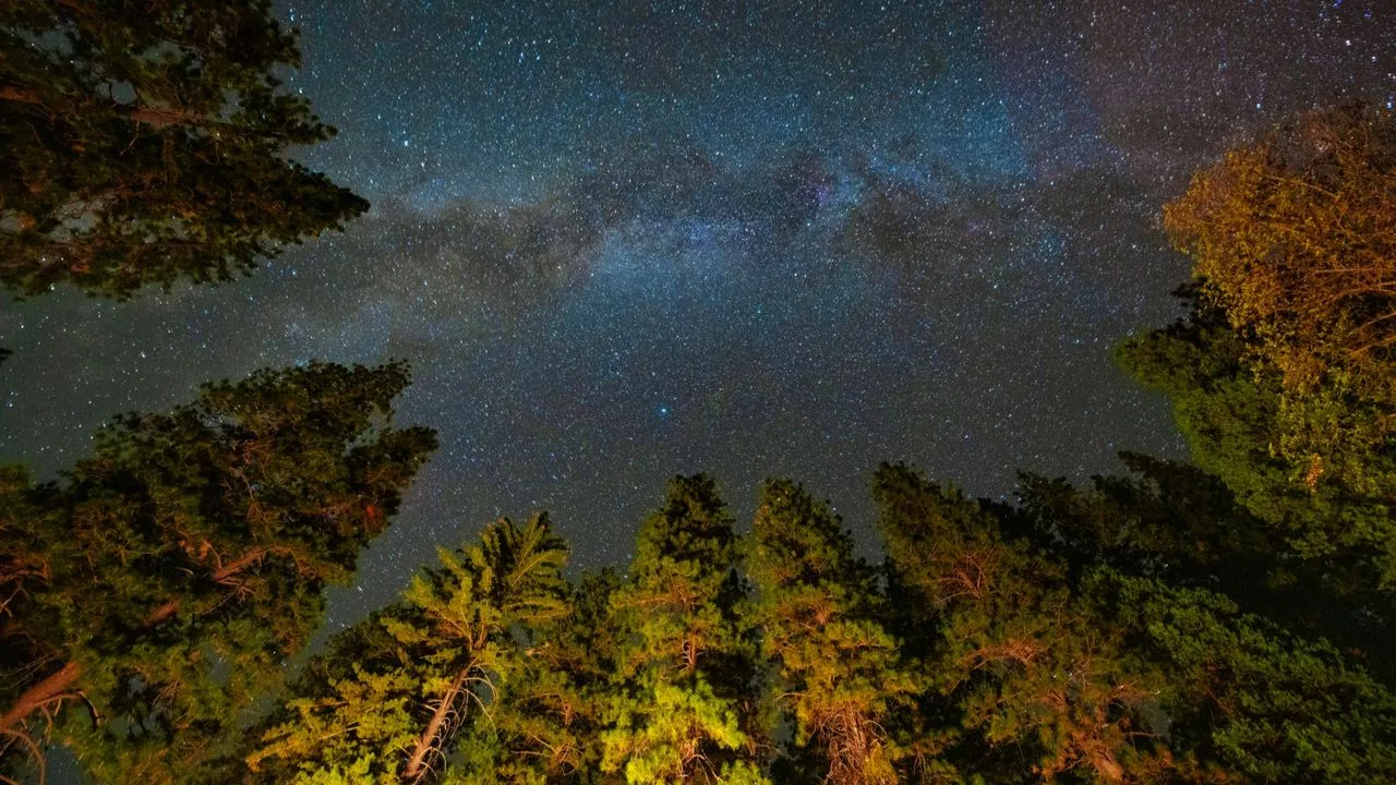 Dark-sky parks lose $25M to nearly $66M in welfare value as light pollution rises