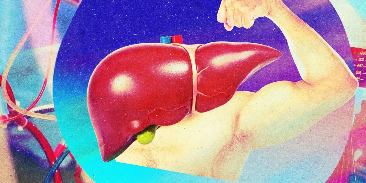 Perfused donor livers get biologically younger by ~30%, study finds