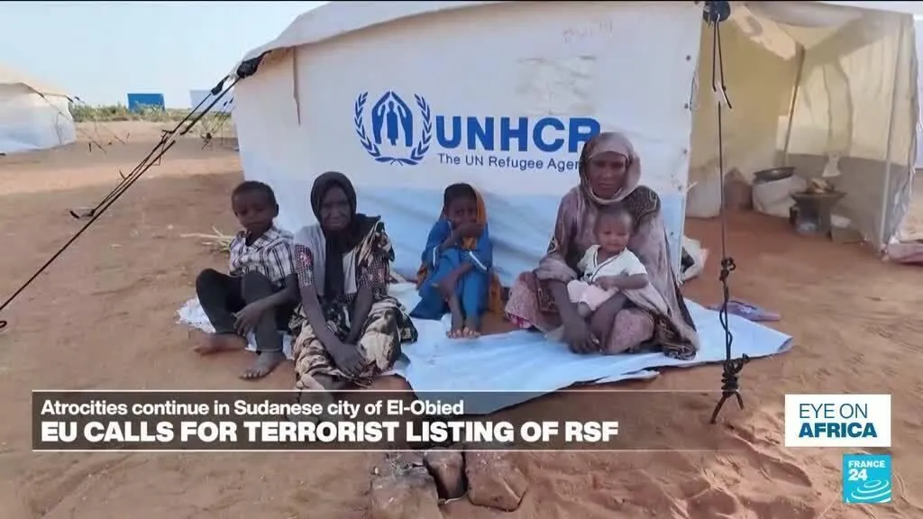 EU lawmakers push Sudan's Rapid Support Forces into terrorist listing