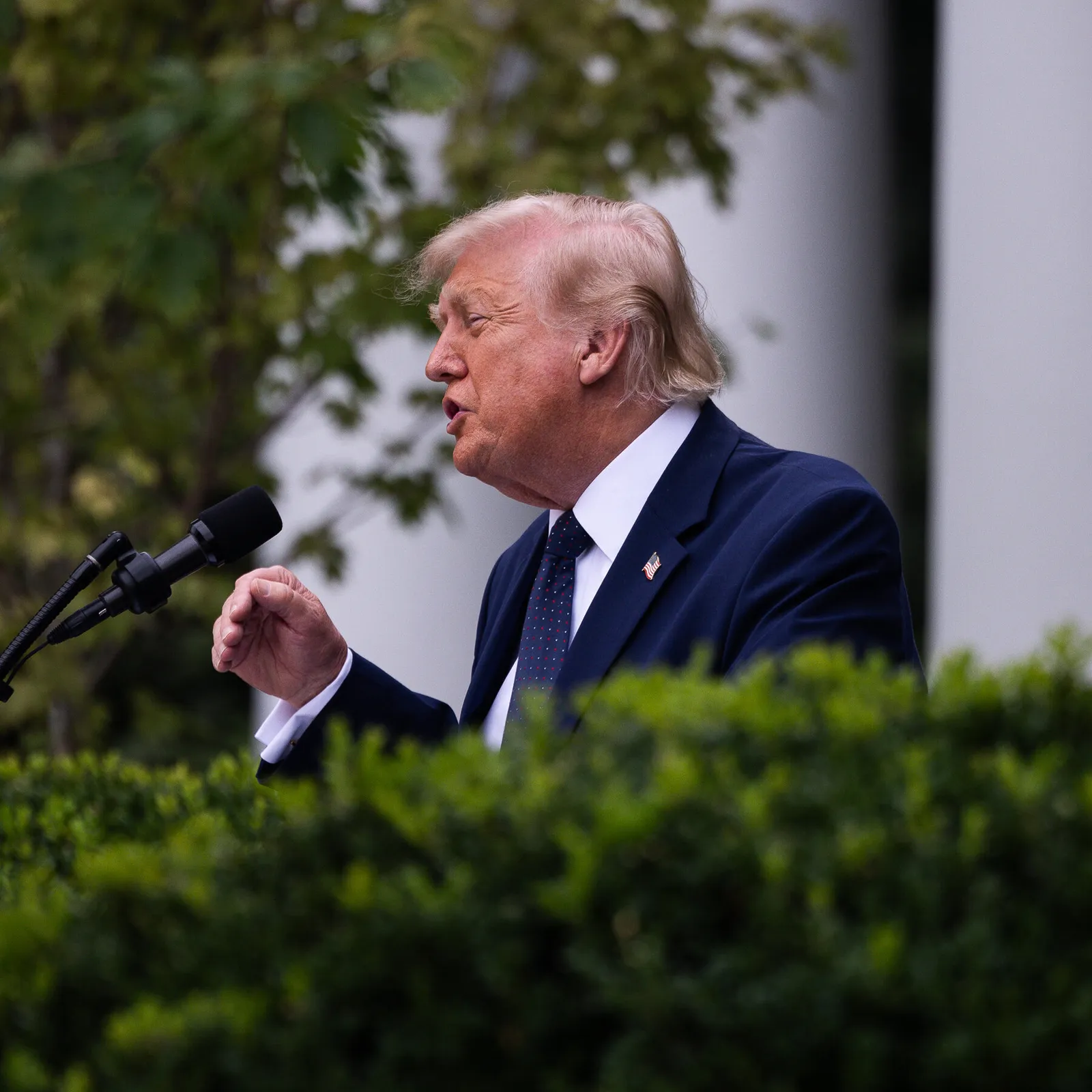 Trump says he will ask the Supreme Court to rehear a citizenship case