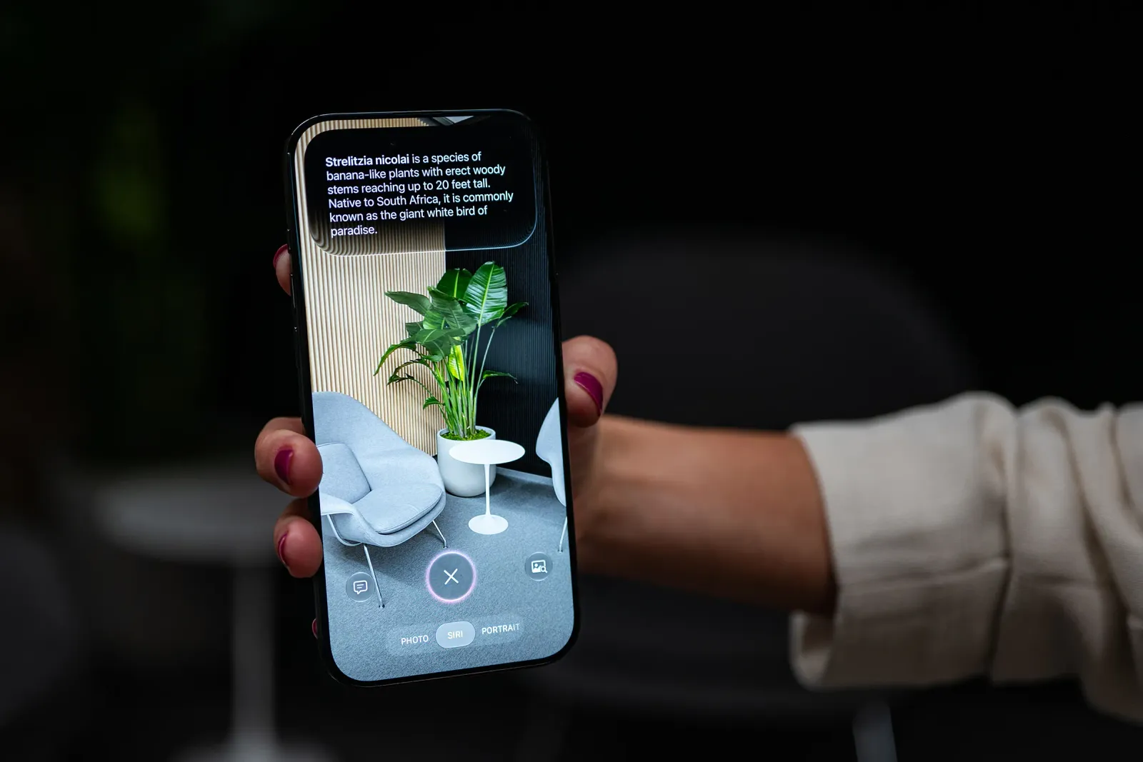 Apple’s Jon McCormack: iOS 27 Photos will add fake pixels, not “AI for AI.”
