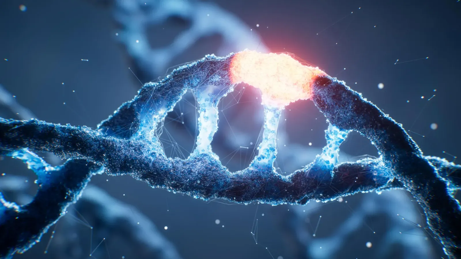 AI decodes the genetic switch that turns on 60% of human genes