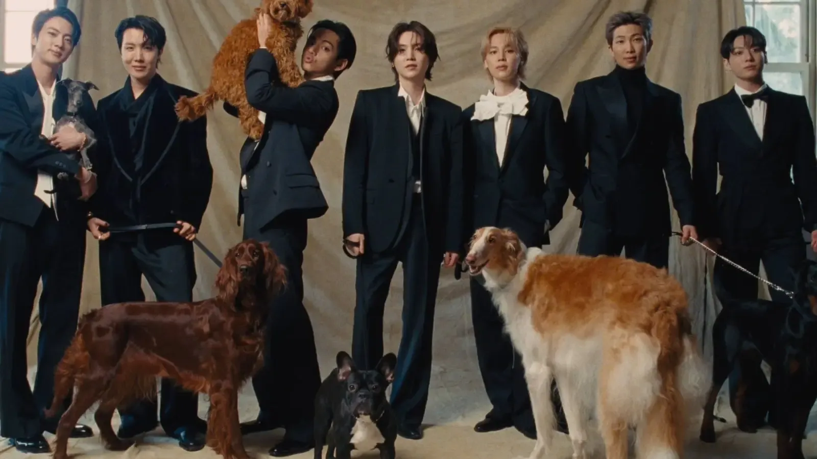 BTS drops 'Normal' video, telling fans to look past the spotlight