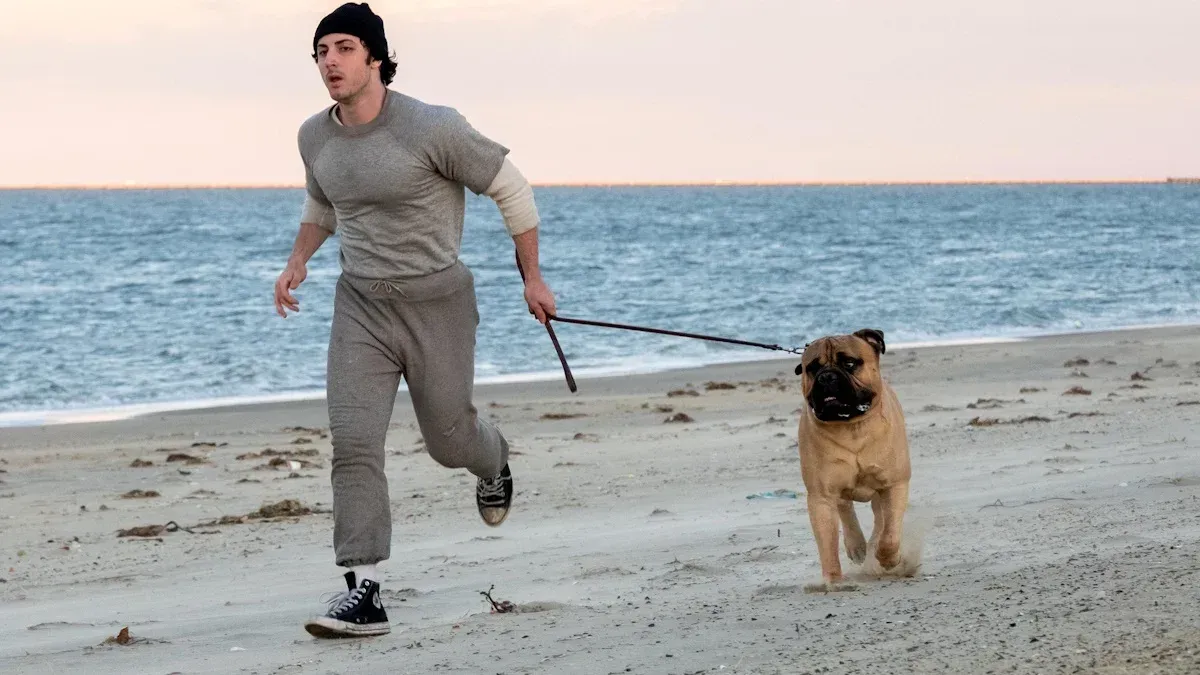 TIFF 2026 adds Peter Farrelly’s “I Play Rocky” plus Chris Rock and Rebel Wilson premieres