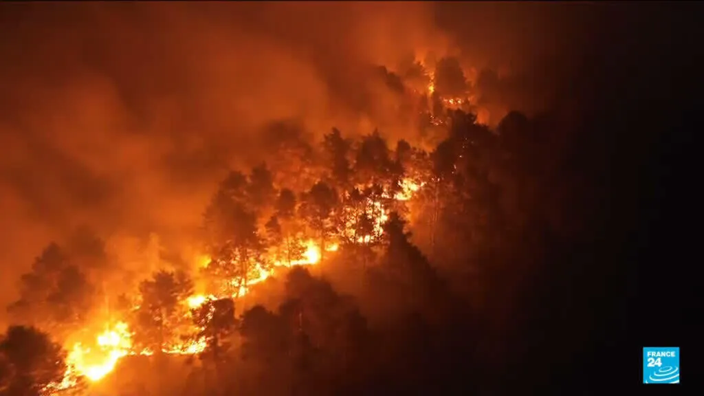 France moves to stop wildfires before they start amid worst season in decades