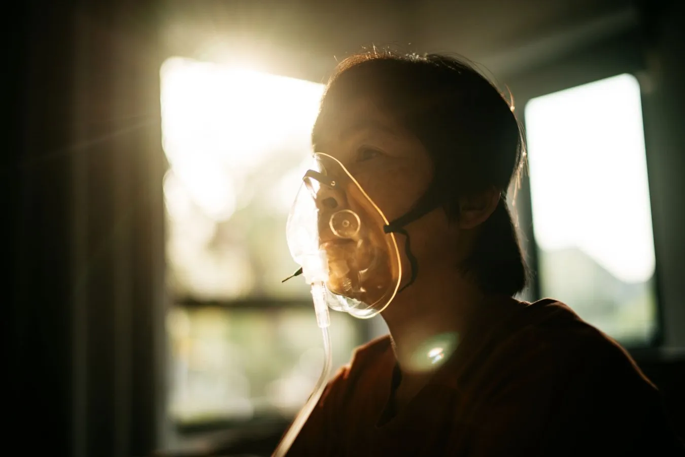 High-dose CO2 inhalation clears amyloid and tau by boosting the glymphatic system