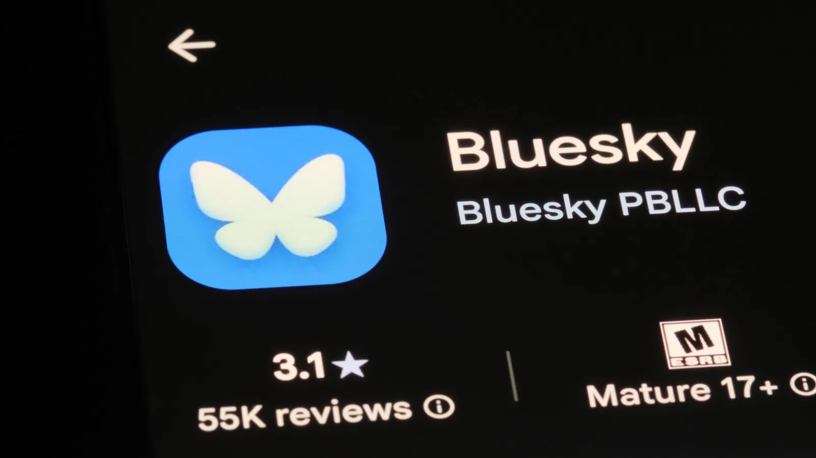 Toni Schneider becomes Bluesky’s official CEO after Jay Graber’s exit