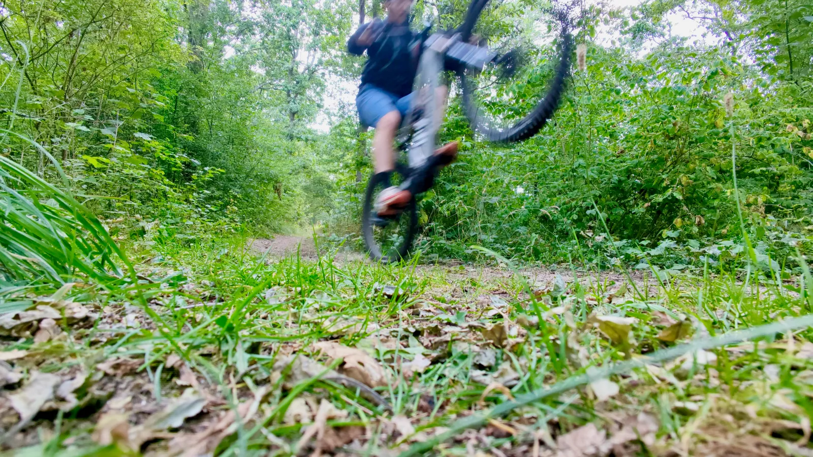 Amflow PX Carbon Pro costs $10,000, and electric mountain bikes just got a lot less nerdy