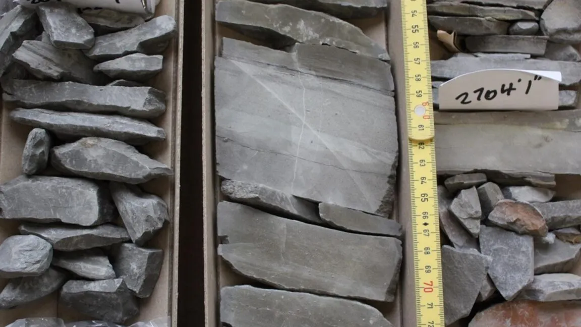 Jurassic warming 183 million years ago: eroding organic carbon supercharged climate