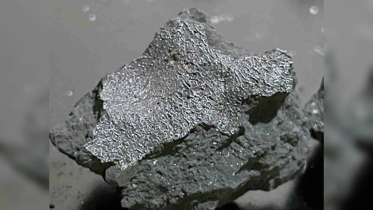 NJ homeowner’s swift glove-and-jar move produced the rarest CM1/2 meteorites scientists know