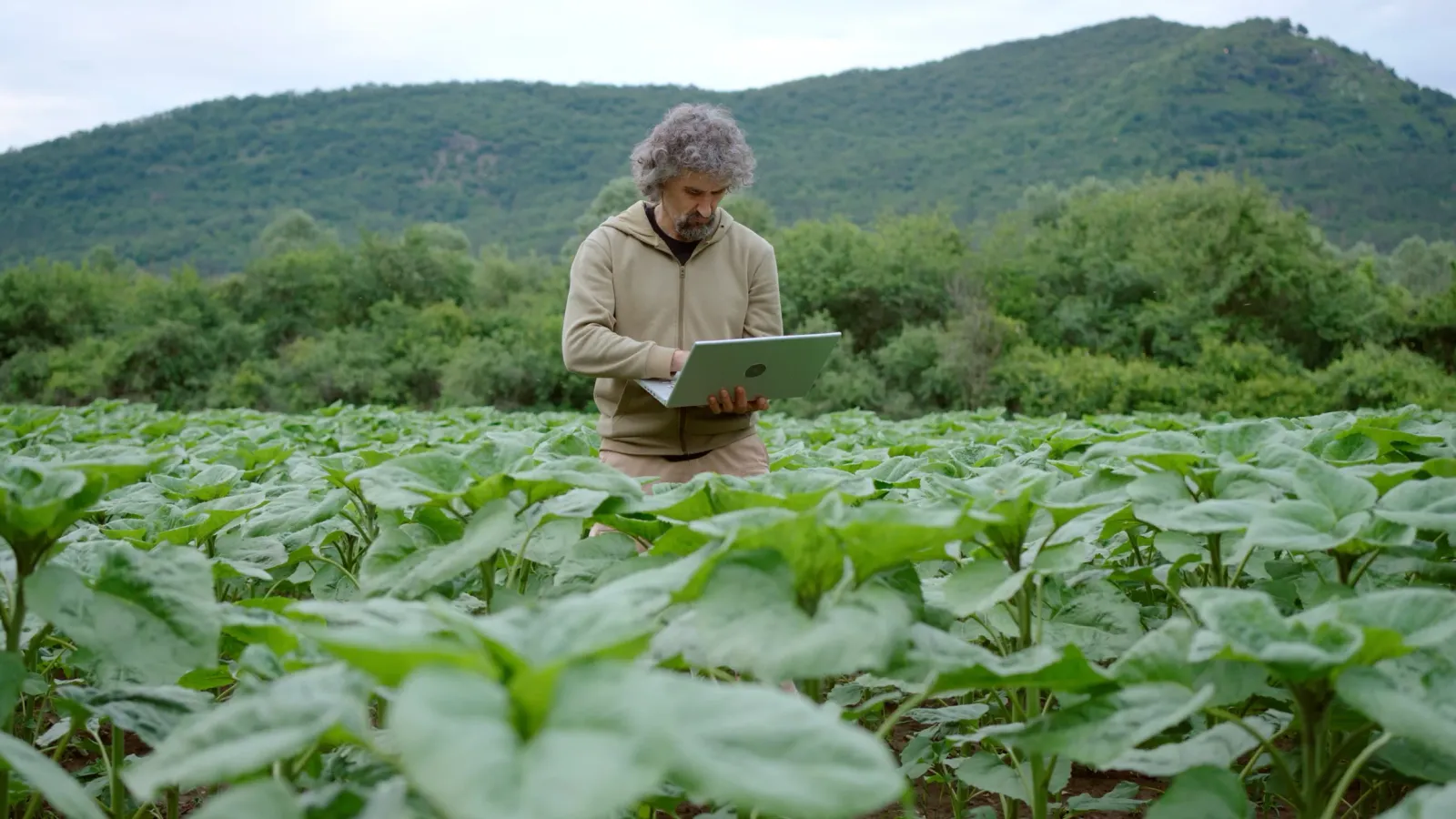 AI can cut farm inputs up to 41%, but only if your data isn't a mess