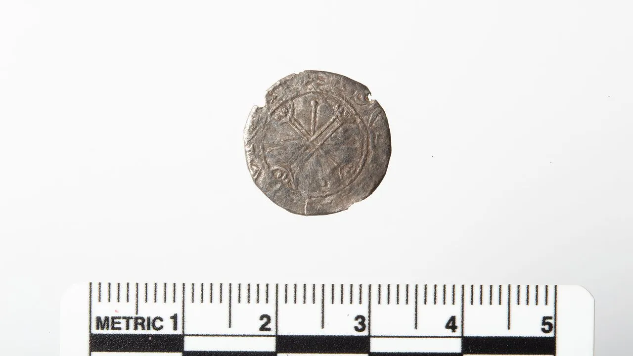 Detectorist mistook Magnus Barefoot coin for a button, researchers called it the first of its kind