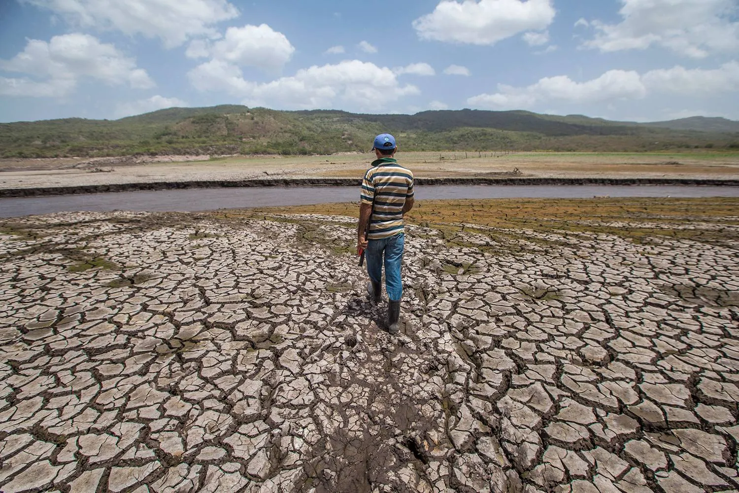 El Niño may hit farmers harder, compounding trade and energy pain across markets