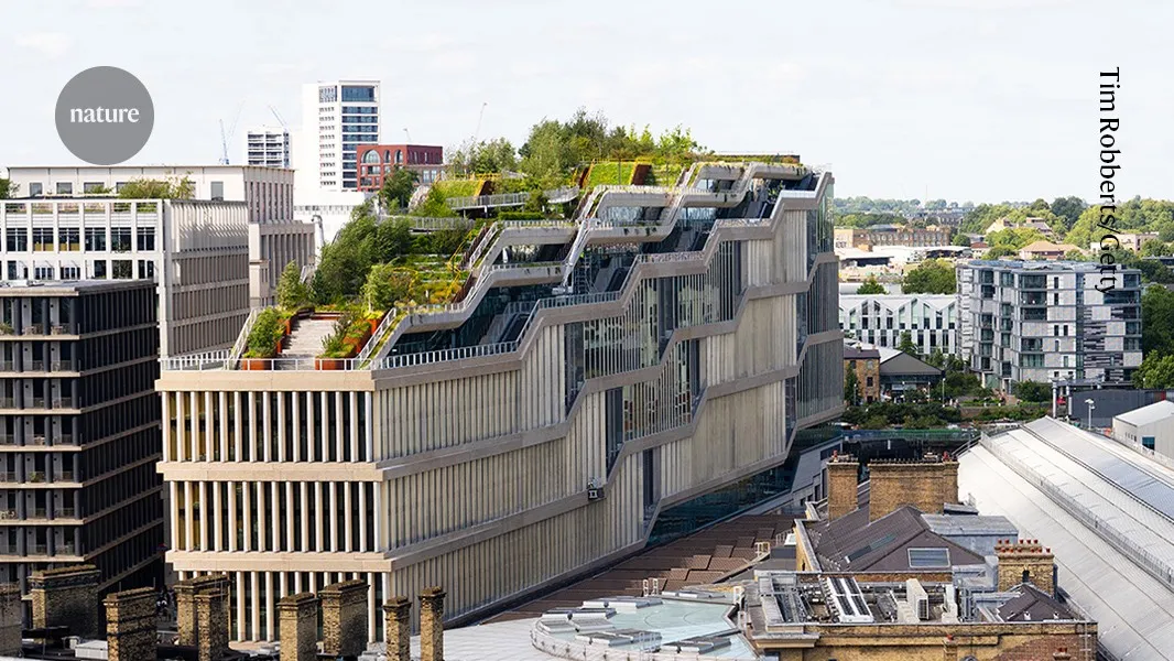 UK AI-safety ecosystem gains momentum, shifting “global capital” away from Silicon Valley