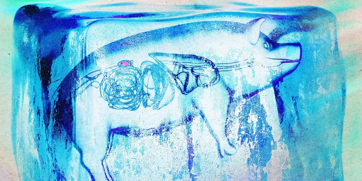 Supercooled kidneys keep working after days at -4°C without ice