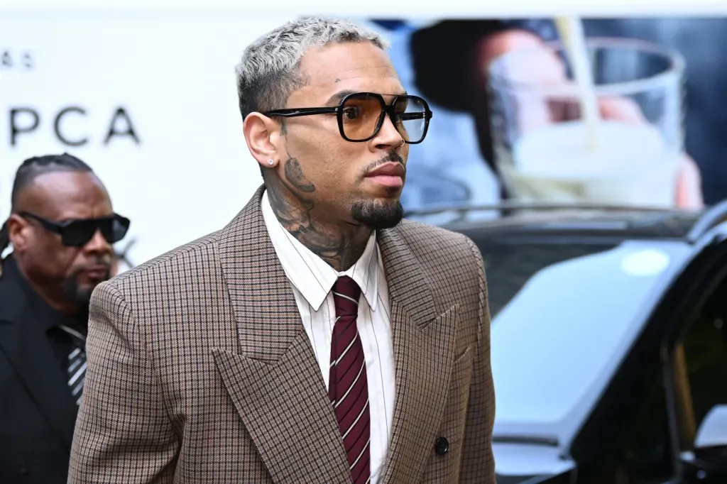 Chris Brown hit with $12.9M negligence verdict for Tarzana dog attack