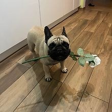 Oskar