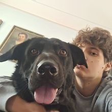 Ciuni