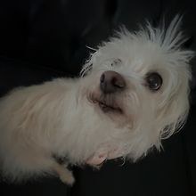 Eduardo