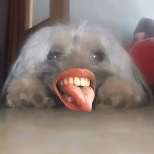 Ivan