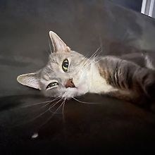 Max