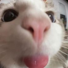 Sam