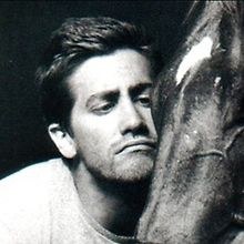 david
