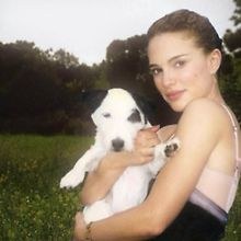 Pola