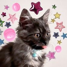 Maali