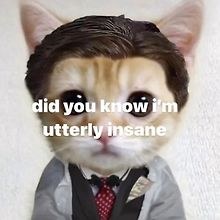Taylor Learn