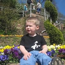 Maddox