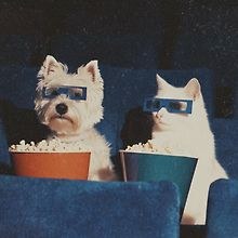 Alma
