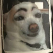 pishishi