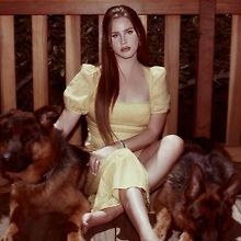 Isabelle