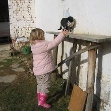 minja