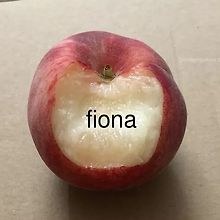 Bûchette