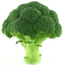 Brock Olsen