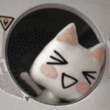 Bleo