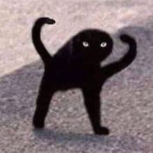 NikNiks