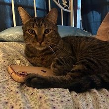 Lillian 