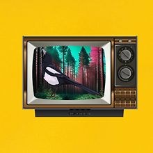 Media Magpie