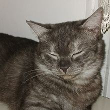 SmileyBug