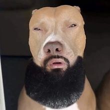 onetooth