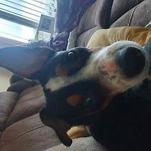 max