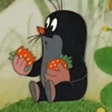 Max