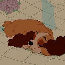 Eve