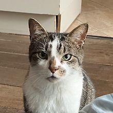 Fabiën